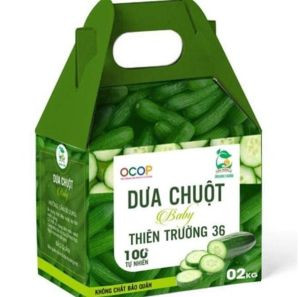 Dưa chuột bayby Thiên Trường 36