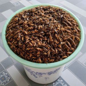 Nguyễn Duy Luận