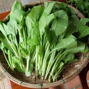 Rau Cải ngọt