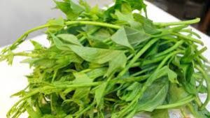 Rau khoai