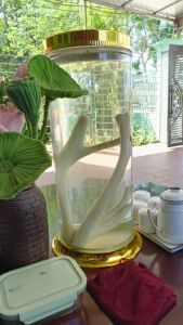 Rượu Nhung Hưu