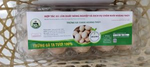Trứng Gà Canxi Hoàng Thuỷ- OCOP
