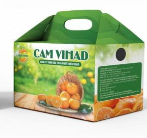 Cam đường canh VIHAD