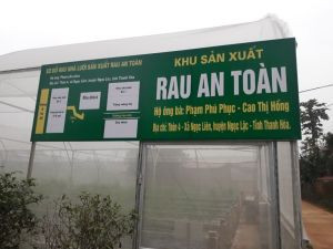 Rau an toàn-Vietgap