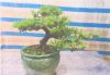 Tùng La Hán Đại Thành